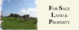 Land and Properties